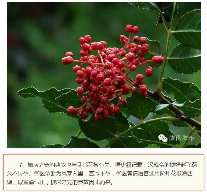 蘭渝鐵路最早由孫中山先生提出？在隴南，你不知道的事兒還有……