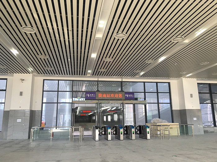 全國、省市政協(xié)委員體驗蘭渝鐵路、視察階州廣場