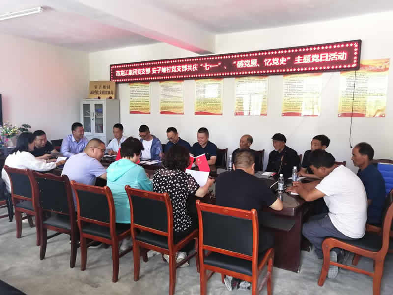 “感黨恩、憶黨史”，--市龍江城鄉(xiāng)發(fā)展集團(tuán)公司開展慶祝建黨99周年主題黨日活動(dòng)