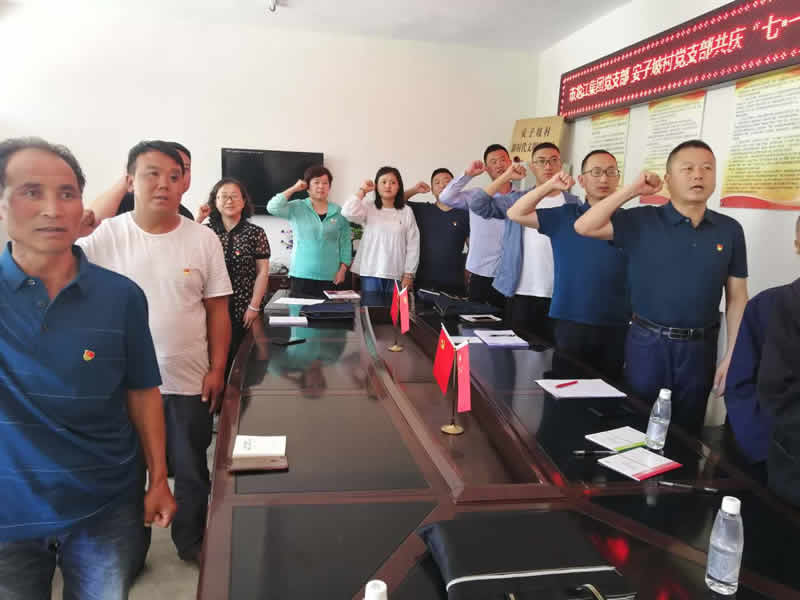 “感黨恩、憶黨史”，--市龍江城鄉(xiāng)發(fā)展集團(tuán)公司開展慶祝建黨99周年主題黨日活動(dòng)